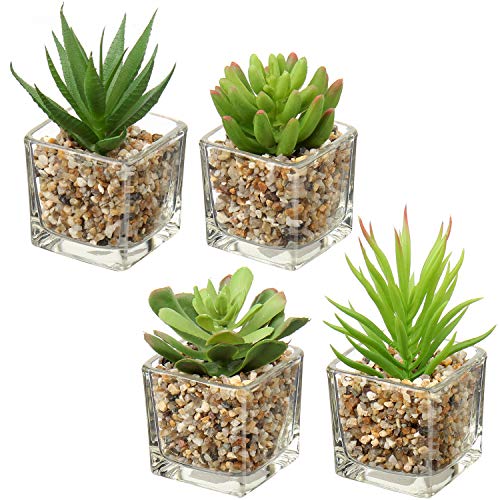 Briful Set of 4 Succulents Plants Artificial in Clear Glass Pots Small Fake Succulents Plants Mini Faux Plants Indoor for Window Sill Office Table Desk Shelf Bathroom Decor - color: Succulents #03
