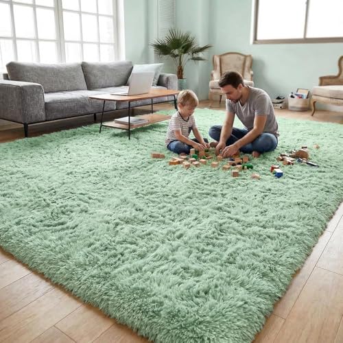 DweIke Fluffy Sage Green Rugs for Bedroom Living Room, 3x5 Feet Soft Plush Shaggy Light Mint Green Girls Boys Kids Rug, Non-Slip and Machine Washable Carpet for Dorm Nursery Classroom Decor - color: Green, size: 3 Ft X 5 Ft