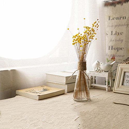 100 Stems Natural Dry Flowers Brazilian Small Star Daisy Decorative Dried Flowers Mini Daisy Chamomile Bouquet for Wedding Floral Arrangements Home Decorations (Autumn Color) - color: Autumn Color