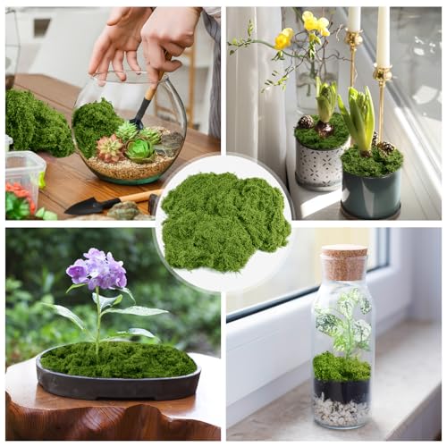Draupnir Fake Green Moss for Plants Indoor, 5.3OZ Artificial Moss for Potted Plants Decor, DIY Decorative Moss for Crafts Fairy Garden Floral Wedding Model Making Glass Containers Home (150g) - color: Dark Green