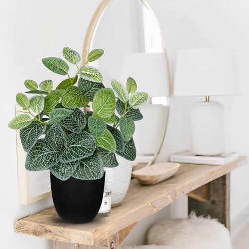 14.5" Artificial Plants Indoor Home Decor, Fake Potted Silk Plants for Shelves, Desks, Living Room, Home & Office Decor, Small Artificial Nerve Plant in Pots, Faux Potted Greenery Tropical House Plant - color: #Green Nerve Plant