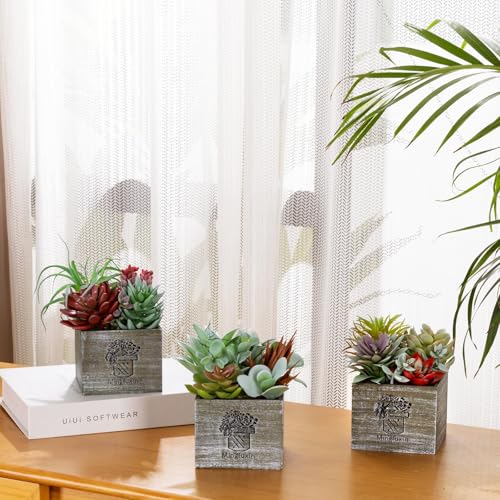 Succulents Plants Artificial with Light, Small Fake Plants in Pots for Home Decor, Potted Decorative Succulents Plants for Table Desk Bathroom Office Room Decor - color: Radiant
