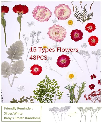 48 Pcs Mix Natural Dried Pressed Flowers for Cake Decorating, Real Dry Flower for Resin Jewelry Making, DIY Art Crafts (Rose) - color: Rose