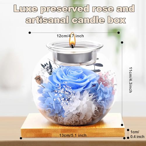Flowers for Delivery, Preserved Flower in Glass Dome with Scented Candle, Long Lasting Rose Gifts for Women Wife Girlfriend on Christmas Mothers Day Valentines Day Birthday (Blue) - color: Blue