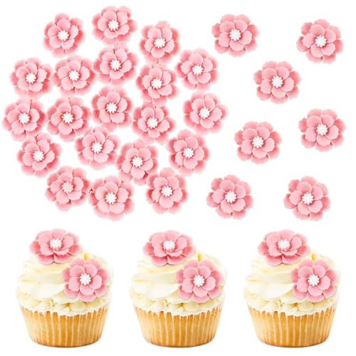 20Pcs 3D Pink Flower Cupcake Toppers Resin Flowers for Bridal Engagement Baby Shower Floral Birthday Cupcake Picks Wedding Anniversary Pink Flower Party Table Decorations - color: Flower-11