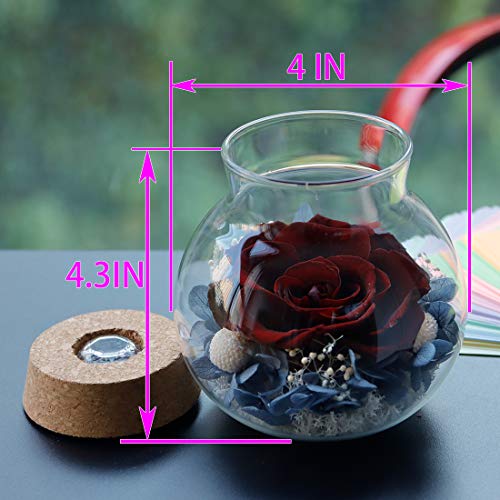 Preserved Real Roses with Colorful Mood Light Wishing Bottle,Eternal Rose，Never Withered Flowers,for Bedroom Party Table Decor, Anniversary,Valentine's,Mother's Day,a Gifts for Women (Burgundy) - color: Burgundy