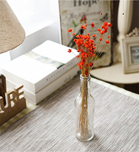 100 Stems Natural Dry Flowers Brazilian Small Star Daisy Decorative Dried Flowers Mini Daisy Chamomile Bouquet for Wedding Floral Arrangements Home Decorations (Red02) - color: Red02