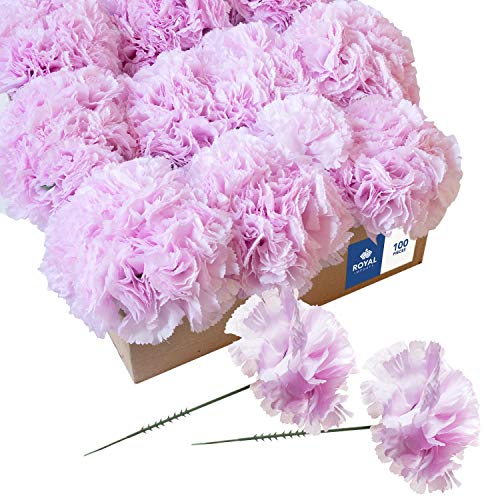 Royal Imports Artificial Carnations, Silk Faux Flowers, for Funeral Arrangements, Wedding Bouquets, Cemetery Wreaths, DIY Crafts - 100 Single 5" Stems - Lite Pink - color: Light Pink