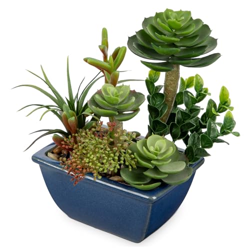 Small Faux Plant Assorted Fake Succulents Plants with Glazed Ceramic Pot Faux Succulents Arrangement Cement Potted Desk Plants Small Fake Plants for Home Table Office Bathroom Shelf Living Room Decor - color: Blue