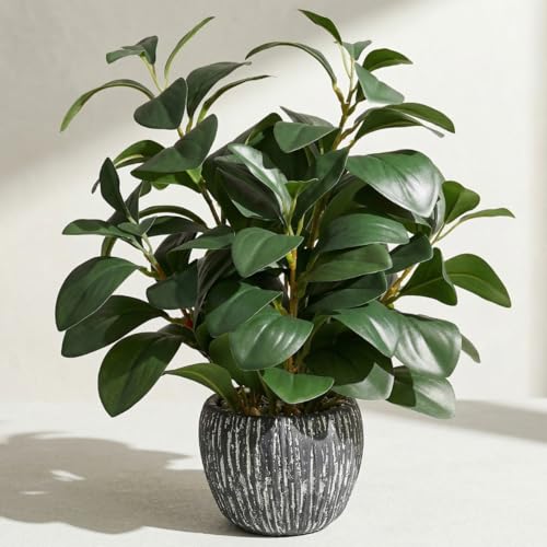 Artificial Plants for Home Decor - 13.2 Inch Fake Succulents in Rustic Clay Planter, Lifelike Potted Faux Plants for Office Desk, Bathroom, Farmhouse Table Decor - color: Artificial Plants