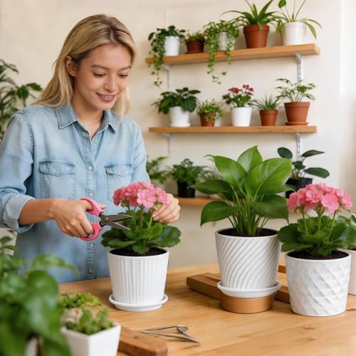 sietpoek Plant Pots - 5.5 Inch Cylinder Ceramic Planters with Connected Saucer, Pots for Succuelnt and Little Snake Plants, Set of 4, White - size: 5.5 Inch