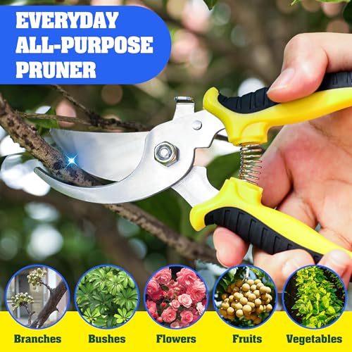 EWPJDK 4 Pack Garden Pruning Shears, Stainless Steel Garden Shears, Gardening Shears, Garden Scissors, Clippers, Pruning Snips, Pruning Shears for Gardening Tools (4PCS Yellow Orange Green) - color: 4pcs Yellow Orange Green