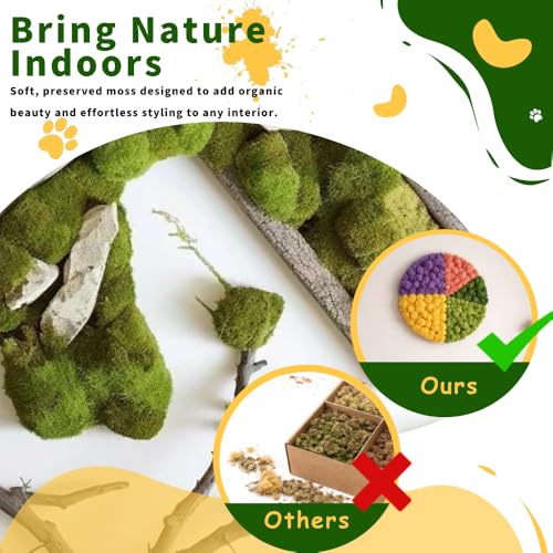Preserved Reindeer Moss, 17.64oz Natural Decorative for Home Decor, DIY Crafts, Moss Wall Art, Terrariums, Floral Arrangements, Wedding & Holiday Decorations (Olive Green) - color: Olive Green