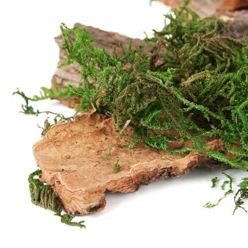 BYHER Fake Moss for Crafts, Assorted Treebark Fairy Garden Accessories Green Moss for Decorating, Tree Bark for Crafts, Terrarium, Floral Arrangements (Forest Green)
