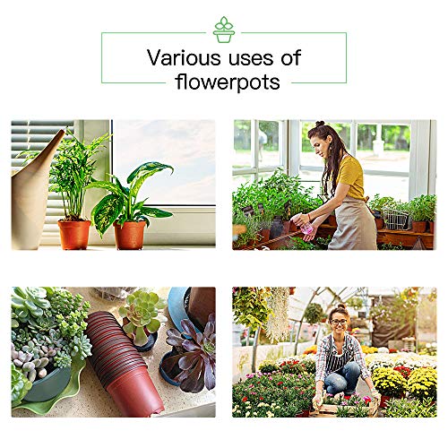 JERIA 100-Pack 6 Inch Plastic Nursery Pots Come with 100 Pcs Labels, Seedling Flower Plant Container and Seed Starting Pots - size: 6 Inch