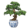 Fake Bonsai Tree Bonsai Plant 17” Tall Artificial Bonsai Trees with Blue and White Porcelain Decorated with Pebbles Desk Plant Indoor Bonsai for Home Office Decor - style: Porcelain