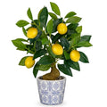 Artificial Potted Plants, 15.7 inches Small Fake Lemon Tree Artificial Lemons Citrus Tree with Blue and White Pot Faux Potted Plants Indoor Lemon Decorations for Home, Office, Living Room Table, Desk - style: Modern