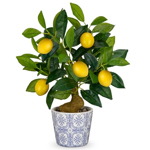 Artificial Potted Plants, 15.7 inches Small Fake Lemon Tree Artificial Lemons Citrus Tree with Blue and White Pot Faux Potted Plants Indoor Lemon Decorations for Home, Office, Living Room Table, Desk - style: Modern