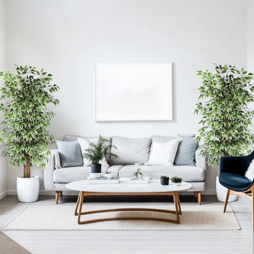 GTIDEA 2 Pcs 6ft Ficus Artificial Trees, Tall Faux Trees Indoor with Natural Trunk and Fake Silk Tree Fake Plants for Home Spring Decor Living Room Outdoor Balcony House Office (Included Dried Moss) - color: 6ft Ficus Tree-2pack (No Vase)
