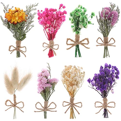 WWahuayuan 8 Pcs Mini Gypsophila Daisy Dried Flowers Bouquets for DIY Craft, Home & Wedding Decor - color: Type2