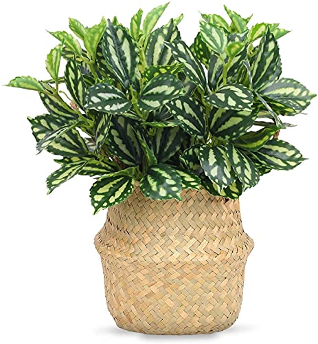 CATTREE Artificial Shrubs, Plastic Plants Speckle Grass Fake Green Bushes Greenery Leaves Wedding Indoor Outdoor Home Garden Verandah Office Table Centerpieces Arrangements Decoration 4 pcs - color: Speckle Grass/4pcs