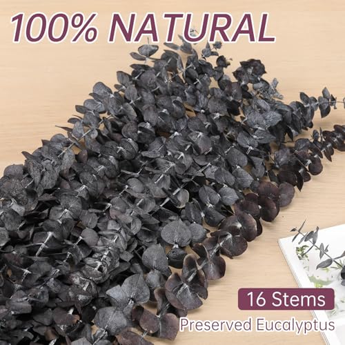 Tavkite 16 Pcs Dried Eucalyptus Stems, 17'' Natural Fresh Eucalyptus Leaves Branches Hanging for Shower, Preserved Real Purple Plant Live for Home SPA Wall Bathroom Wedding Party Vase Decor - color: Purple
