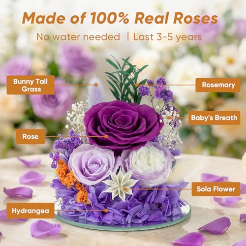 Preserved Rose in Glass Angel Figurine, for Mom/Wife/Grandma, Forever Flowers Rose Anniversary, Graduation or Birthday Gifts for Women Her - color: Purple