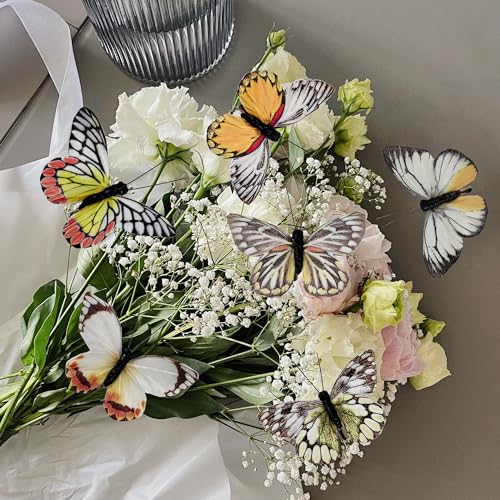 Cartanfill- Artificial Feather Simulation Butterfly Party Decoration Set, a Set of 12 Pieces with Clips, Used for Home Decoration in 12 Colors.… (D Clip) - color: D Clip