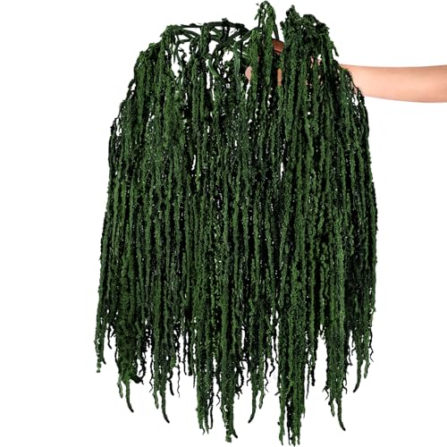 Suncalla 12 Pcs Dark Green Spring Natural Dried Amaranthus Hanging Flowers Amaranthus Artificial Flowers for Wedding Arch Bouquet Floral Garland Wall Home Decoration (23 Inch) - color: Spring Green