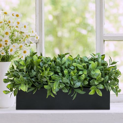 Winlyn 14" Artificial Boxwood Plant Greenery Arrangement Faux Boxwood in Black Rectangular Wooden Planter Potted Herb Plant for Farmhouse Home Decor Wedding Windowsill Mantel Shelf Table Centerpiece