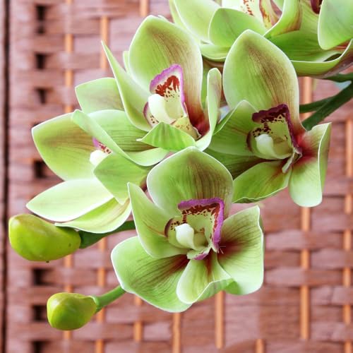 XZJMY 28.4" Artificial Phalaenopsis Flowers,Latex Phalaenopsis Branches,3D Faux Cymbidium Flowers 10 Large Petals Orchids for Home Décor (2, Green)