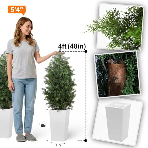 Aveyas 4ft Artificial Cedar Topiary Trees, 4 Feet Faux Potted Plants Evergreen Fake Pine Cypress Tree for Outdoor Porch Home Outside Door Decor (4 ft Tall Including Raised Pot) - Set of 2 Pack - color: Cedar Topiary Trees - 2 Pack (4ft)