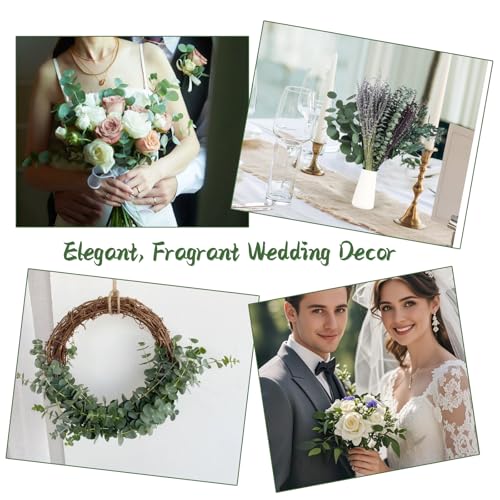 120+ Pcs Mixed Dried Eucalyptus & Lavender Flowers for Shower, Preserved Natural Eucalyptus Leaves for Wall Hanging, Plant Fragrance, Dried Florals for Vase Fillers, Wedding, Green Bathroom Decor
