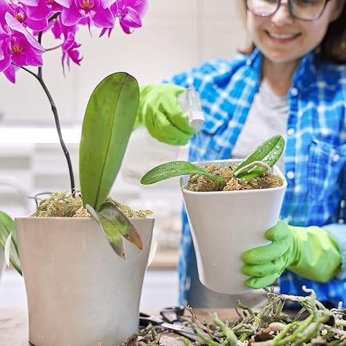 Halatool 3.3LBS Natural Sphagnum Moss for Plants 60 QT Premium Peat Moss Dried Long Fiber Orchid Moss for Orchid Repotting Carnivorous Succulents Garden Flowers Crafts Terrarium and Reptiles - size: 60 qt (3.3 lbs)