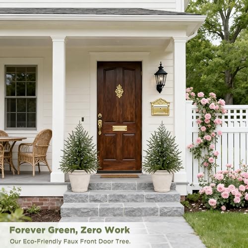 2FT Artificial Cedar Tree 1-Pack, Real Touch Faux Cedar Topiary in Black Pot, Small Indoor Outdoor Fake Evergreen Plant for Desk, Tabletop, Shelf Decor - color: 1, size: 2ft
