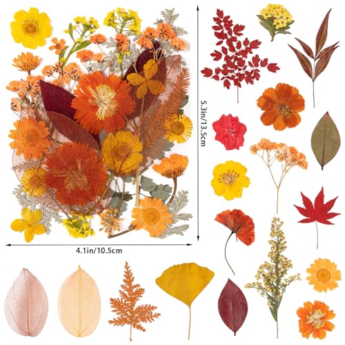 140 Pcs Fall Dried Pressed Flowers with Tweezer, Fall Themed Real Dried Flowers Leaves for DIY Crafts Resin Molds, Yellow Orange Dried Flowers for Autumn Halloween Thanksgiving Decorations - size: Fall