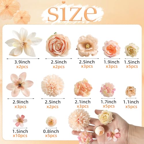 rongflower Fake Flower Heads for Crafts - Champagne Silk Artificial Roses, Peonies, Daisies & Mini Floral Heads Bulk (48-Pack) for Wedding Decor, Graduation Cap, Cake Topper, Home Decoration - color: Champagne