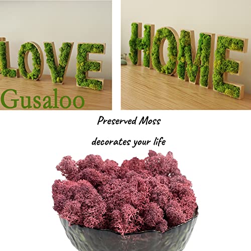 Moss Preserved Artificial Moss - Natural Fresh Green for Craft, Arts, Floral Projects, Wall & Table Decor, Wedding Centerpieces, Garden Terrariums - Dark Pink, 3.5OZ - color: Dark Pink, size: 3.5oz