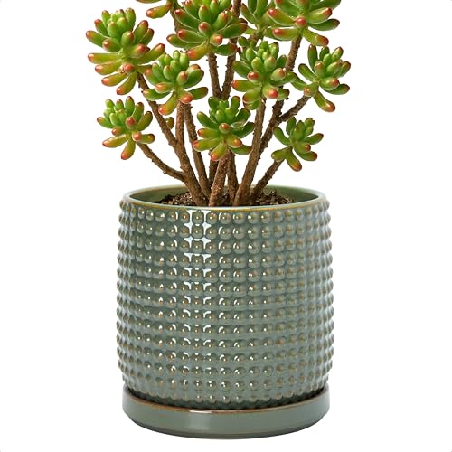 D'vine Dev 6 Inch Ceramic Beaded Stoneware Planter Pot - Flower Pot with Drainage Holes and Saucers for Indoor Succulent Plants or Flowers, Olive, 27-C-X-0 - color: Olive, size: 5.8 Inch