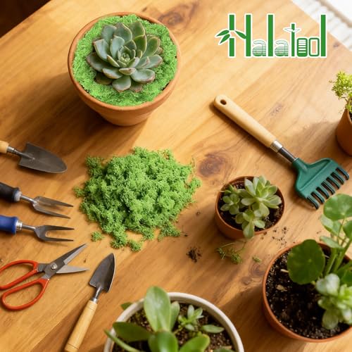 Halatool Preserved Moss for Crafts, Green Reindeer Moss for DIY Decorating Art Potted Fairy Garden Accessories Table Centerpieces Wedding Christmas Fairy Party Decor(1.1 LB)