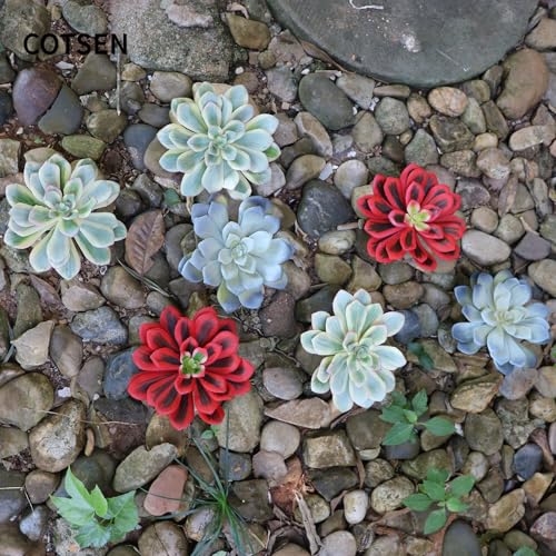 COTSEN 3 Pcs 5.9inch Artificial Succulents Plants Unpotted Assorted Fake Succulents for Office Family Garden Decor