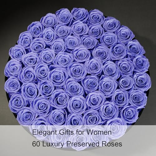 Gifts for Women – NATROSES 60 Preserved Roses in Luxury Black Velvet Box, Preserved Flowers for Delivery Gift for Her, Elegant Rose for Birthday, Mother’s Day, Christmas (Lavender) - color: Lavender, size: 60 Roses