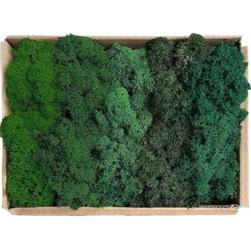 Preserved Reindeer Moss Natural Green DIY Kit Gardenning Art Wall Decor Florist Decor Easter Table Decor Wedding - color: Style-19, size: 1 lb