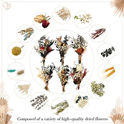 Fabbay 6 Pcs Mini Dried Flower Bouquets Boho Wedding Dried Flowers for Bridesmaid Proposal Mini Handmade Flowers Decor for Vase Crafts DIY Photo Decorations for Centerpieces Gift