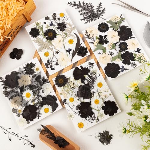 78 Pcs Black and White Dried Pressed Flowers with Tweezer, Halloween Themed Real Dried Flowers Leaves for DIY Crafts Resin Molds, Dried Flowers for Autumn Halloween Decorations - size: Black