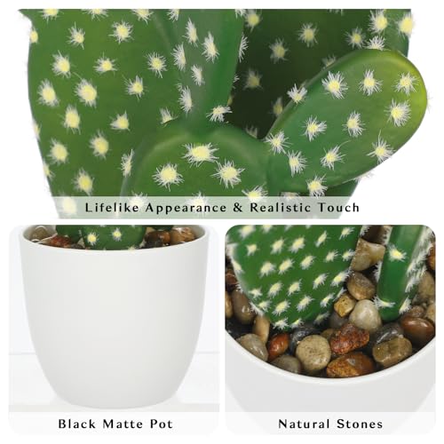 Artificial Cactus Plants 9.8 inch Small Faux Cactus Plants Indoor Fake Desert Cacti Succulents Plants Artificial Plant Indoor with Pot Cactus Decorations for Home Decor Office Desk Tabletop Shelf - size: SUP_210