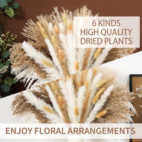 17 Inch Brown & White Dried Pampas Grass Bouquet, Bunny Tails and Reed Grass for Boho Rustic Wedding Decor, Living Room, Bedroom Styling and Holiday Decor - color: 61pc Pampas Gress
