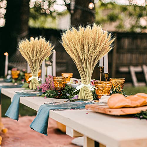 Uieke 17.7 Inches Dried Wheat Stalks, 400 Stems Dried Flowers 100% Natural Wheat for Home Kitchen Wedding Party Table Centerpiece Harvest Wreath Boho Farmhouse DIY Decoration - color: 400pcs