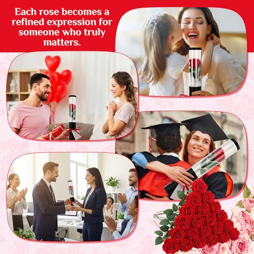 Norme 20 Sets Mother Day Artificial Rose Flowers with Single Cone Boxes, Realistic Touch Velvet Fake Rose Wrapping Bag Bouquet Packaging Sleeves for Teacher Gifts DIY Gift Supplies