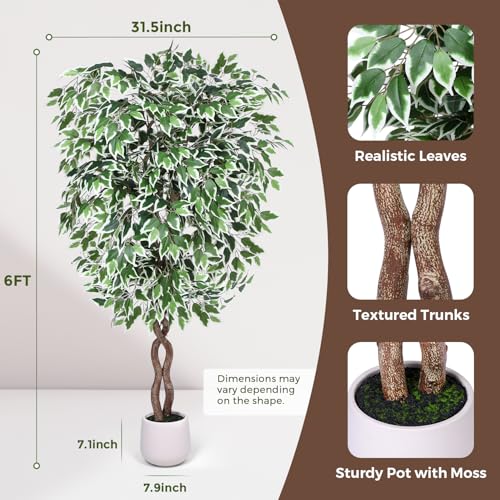 Jocoevol 6FT Artificial Ficus Tree, Tall Faux Trees Indoor with White Planter, Dried Moss, Natural Silk Leaves & Trunk, Fake Plants for Home Living Room Office Corner Decor Housewarming Gift - color: White Border, size: 6ft